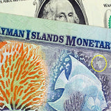 Doing Business and Investing in Bermuda